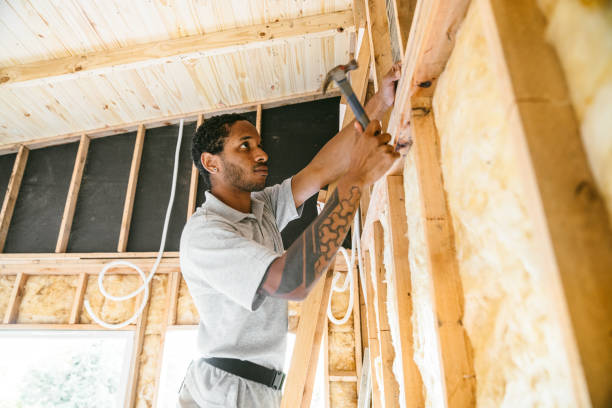 Best Insulation Repair Services  in Nampa, ID