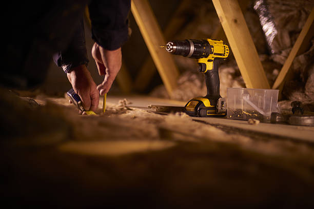 Best Insulation Inspection Services  in Nampa, ID