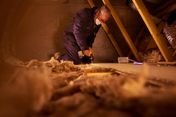 Best Professional Insulation Contractor  in Nampa, ID